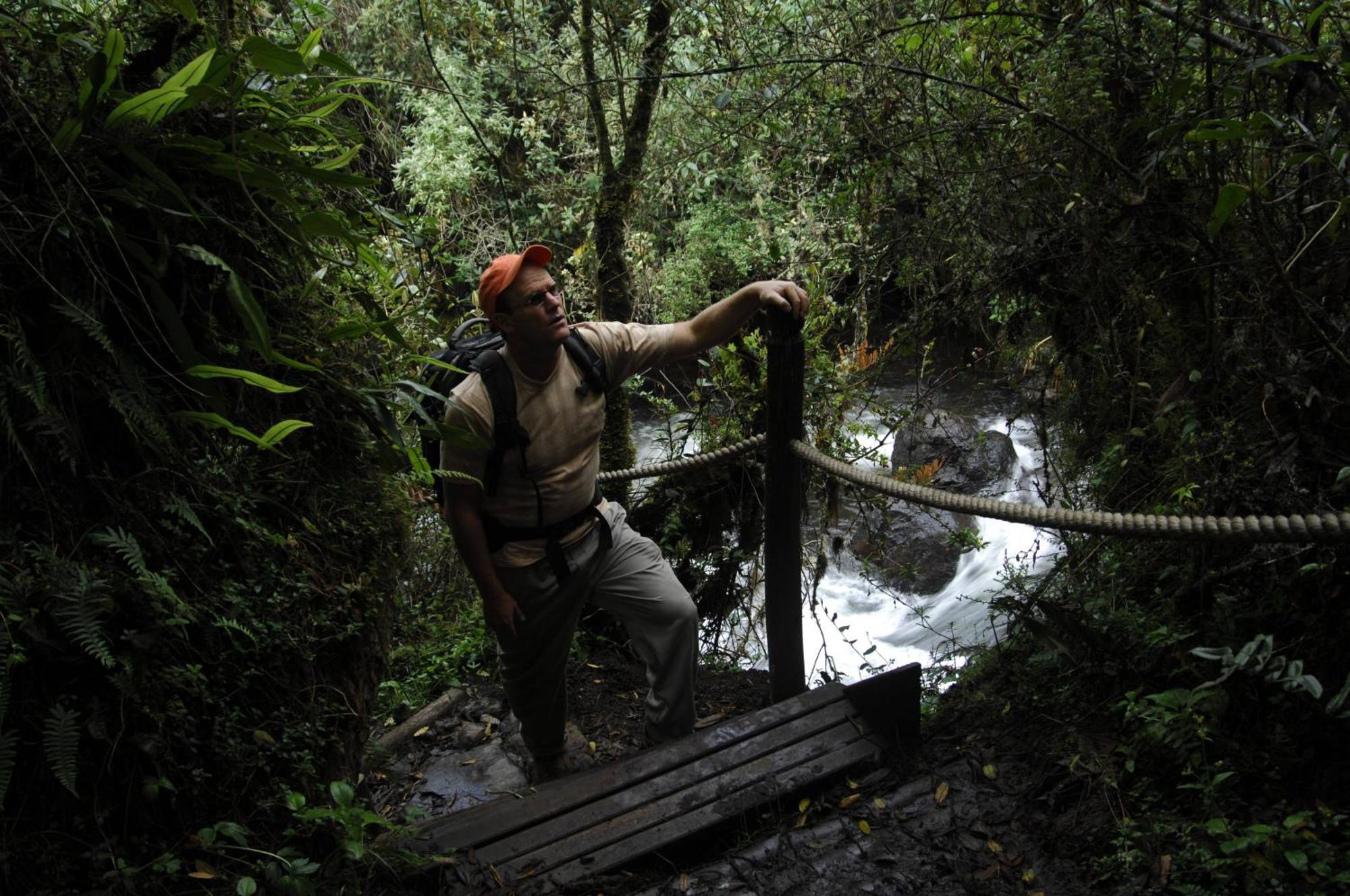 Termas De Папальякта Екстер'єр фото A bridge in the rainforest